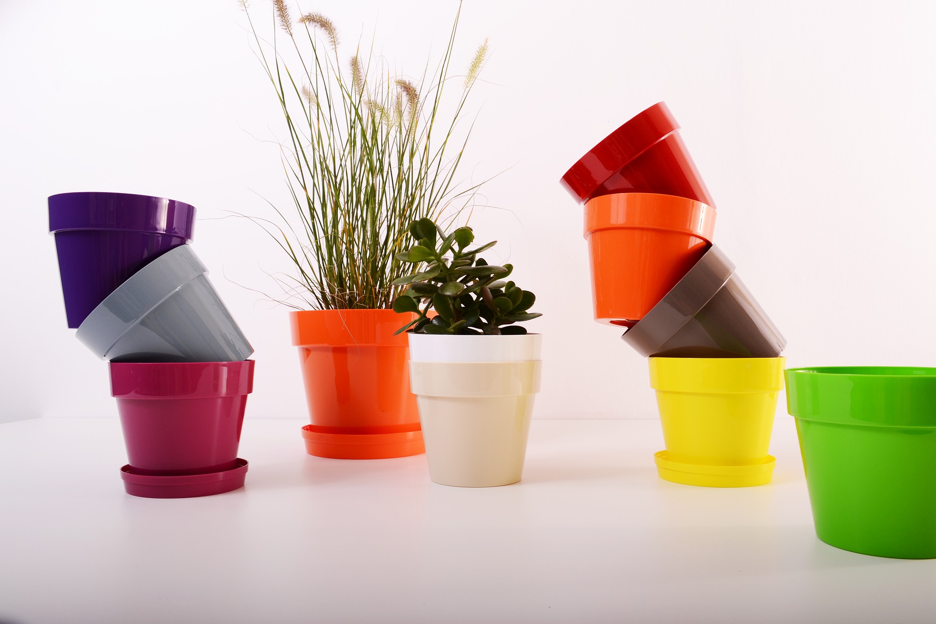 Bunte Blumentöpfe - ein ideales Dekoelement Bunte Blumentöpfe - ein ideales Dekoelement